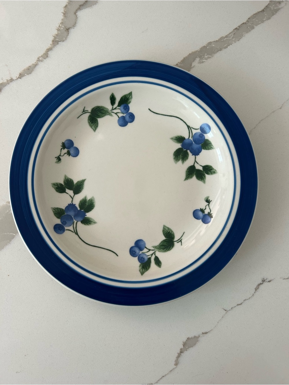L.L.Bean Blueberry Salad Dessert Plate 9” Discontinued Blue Rim EUC